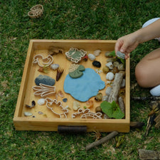 Pond Life Eco Cutter Playdough Set