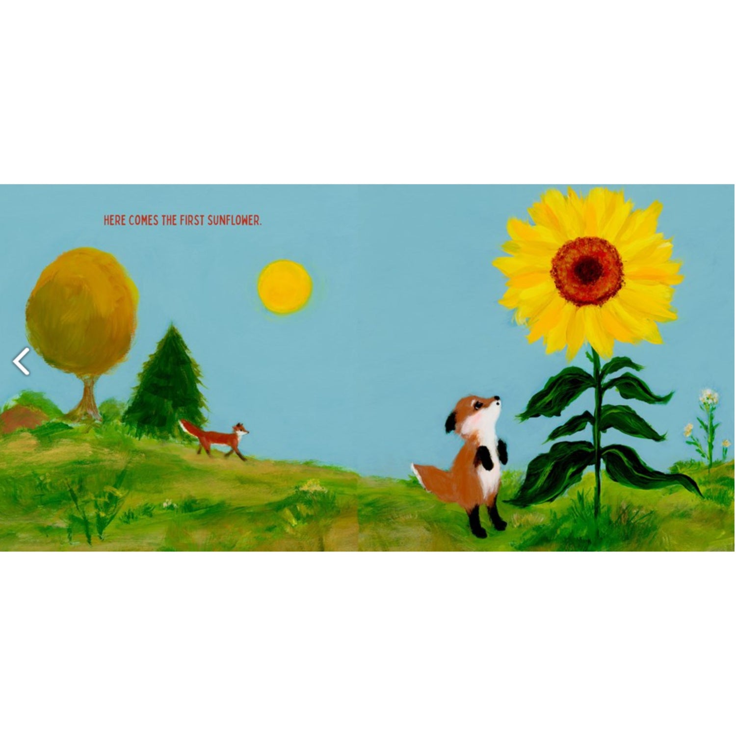 Fall Parade: A Picture Book | Hardcover