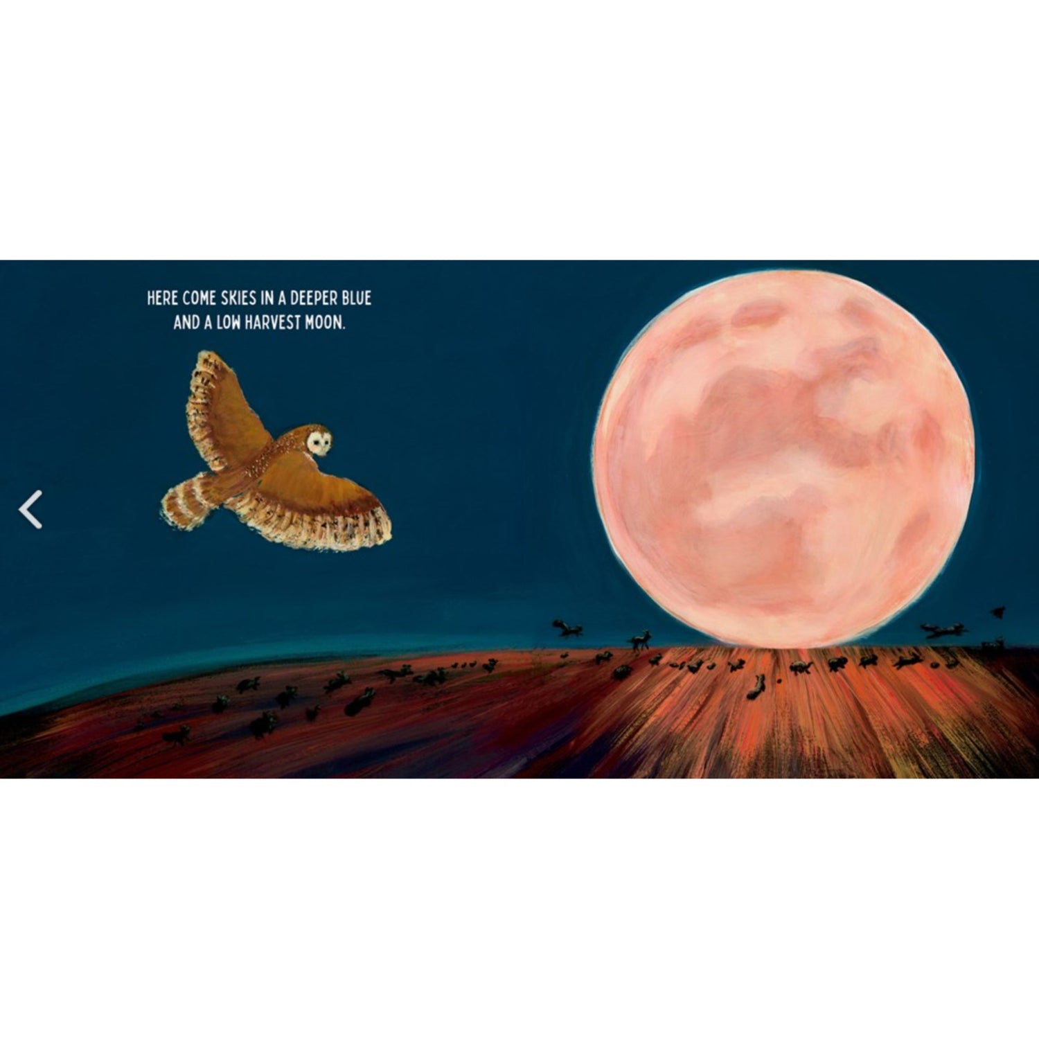 Fall Parade: A Picture Book | Hardcover