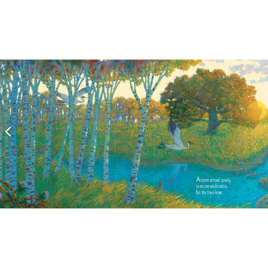 Oak Leaf: A Picture Book