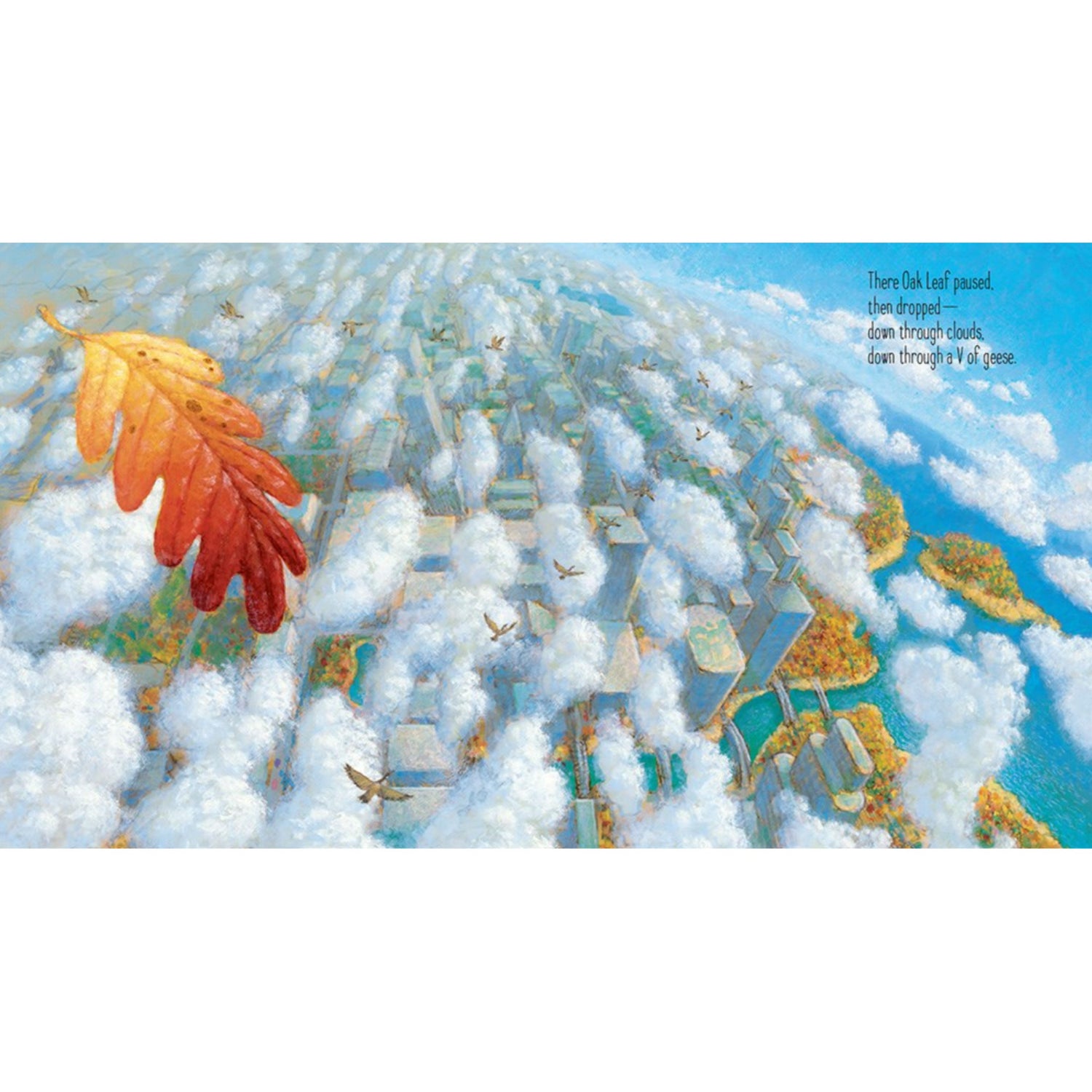 Oak Leaf: A Picture Book