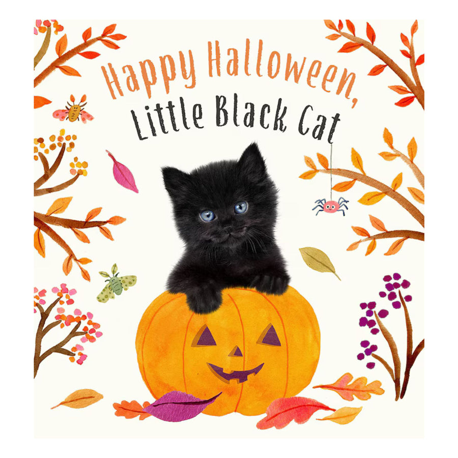 Happy Halloween, Little Black Cat | Board Book