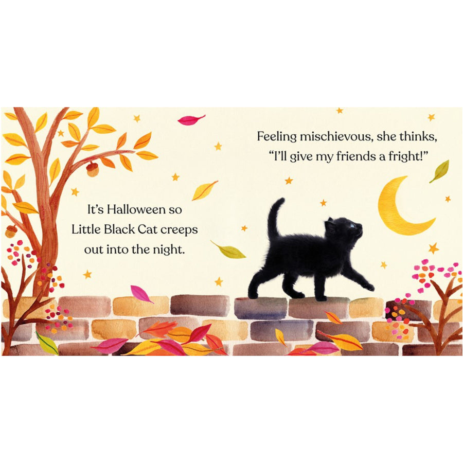 Happy Halloween, Little Black Cat | Board Book