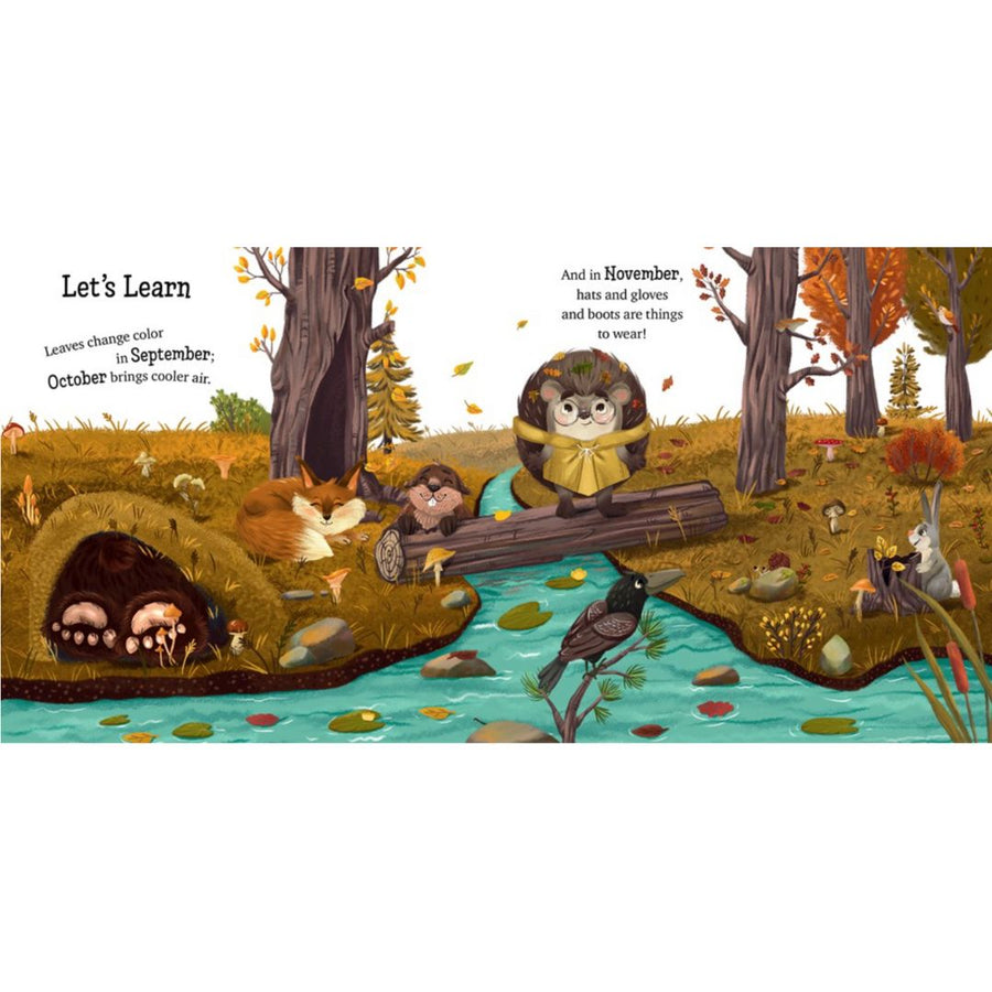 Fall with Little Hedgehog | Board Book
