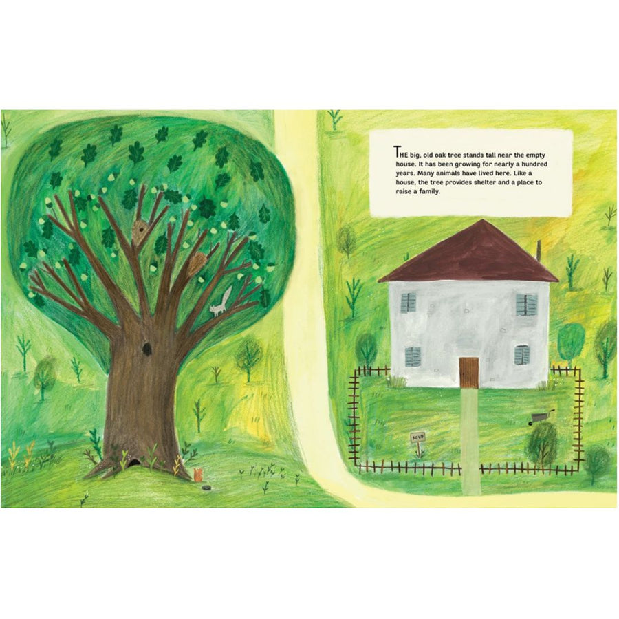 A Tree Is a Home | Hardcover