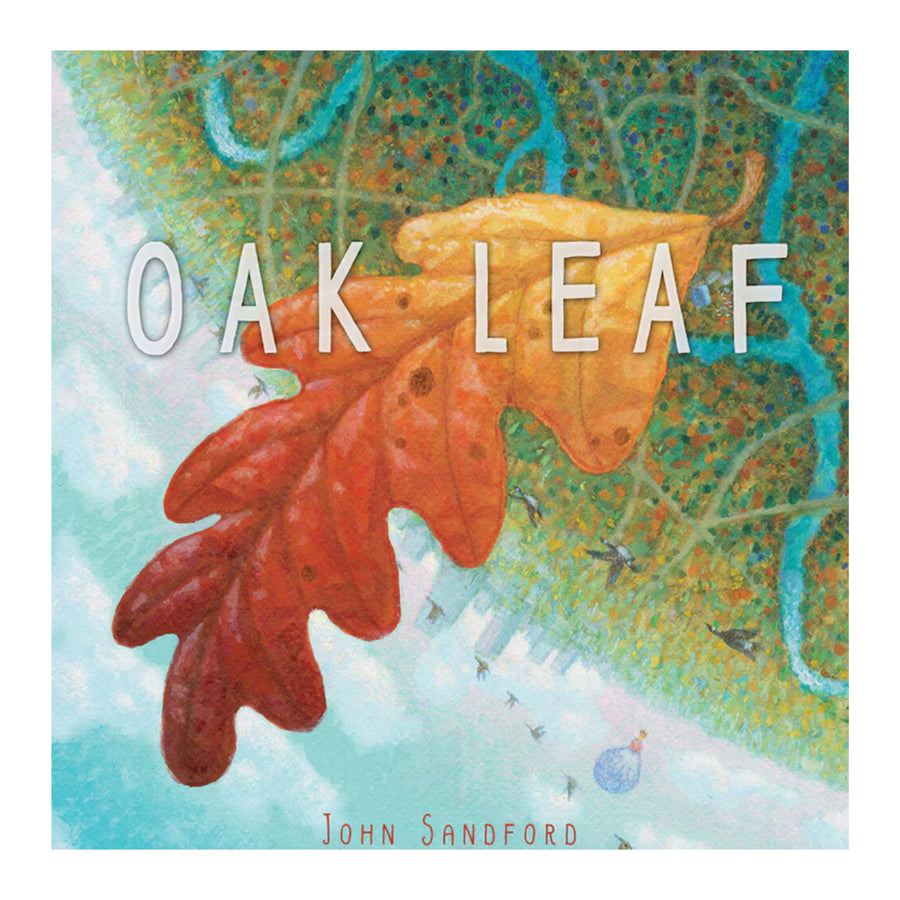 Oak Leaf: A Picture Book