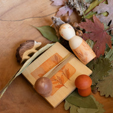 Hello Fall (Grapat X Ostheimer Limited Edition Set)