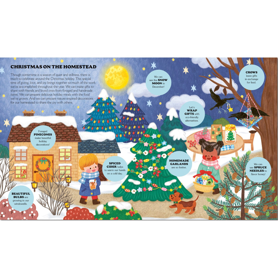 A Christmas Treasury of Recipes, Crafts, and Wisdom | Hardcover