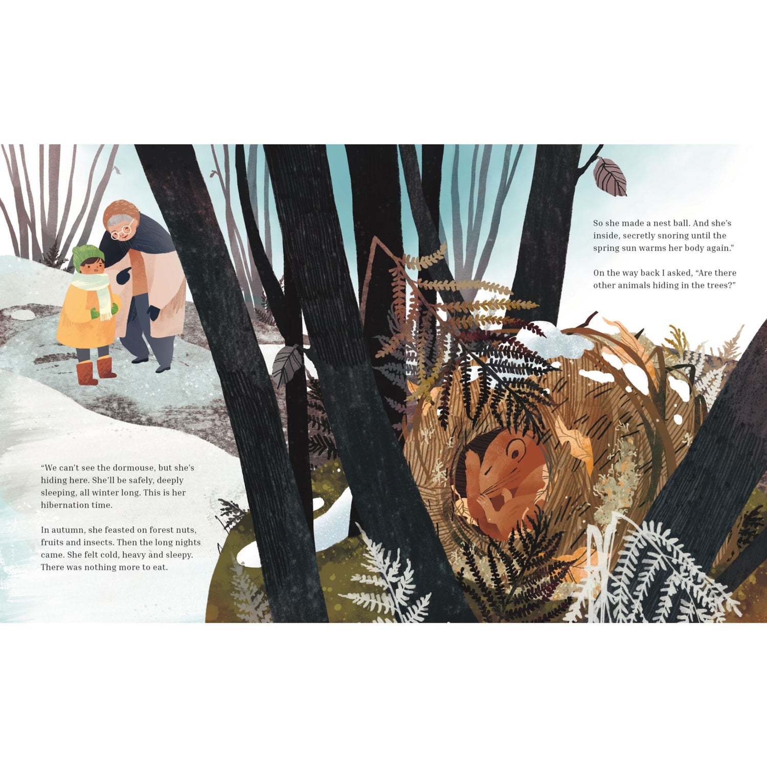 Winter Sleep: A Hibernation Story | Paperback