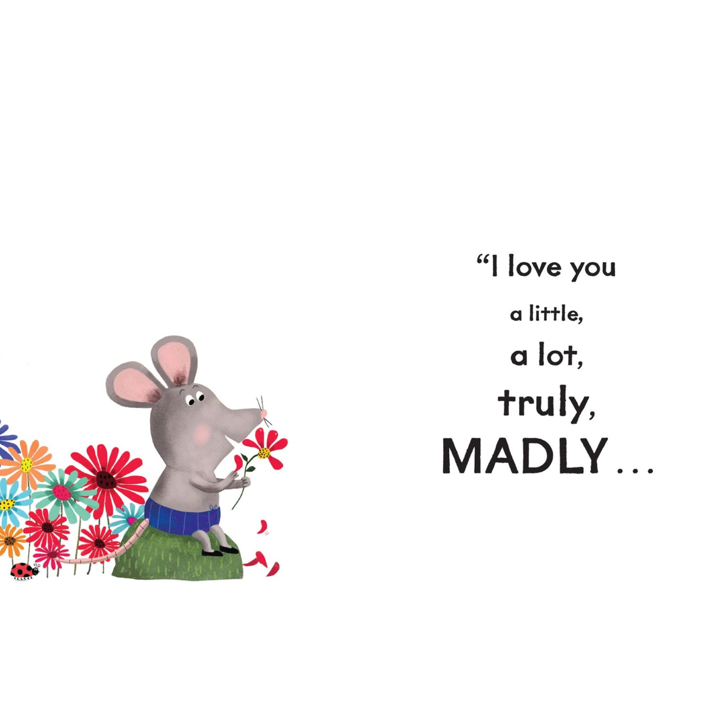 I Love You a Little, I Love You a Lot | Board Book