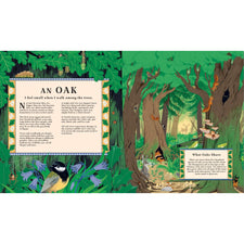 Woodlore: Discover the Seasons and Stories of the Forest | Hardcover