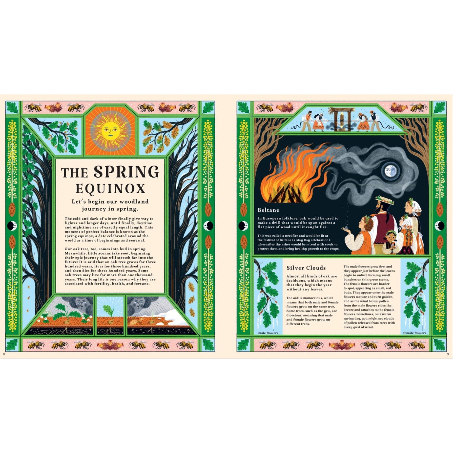 Woodlore: Discover the Seasons and Stories of the Forest | Hardcover