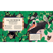 Woodlore: Discover the Seasons and Stories of the Forest | Hardcover