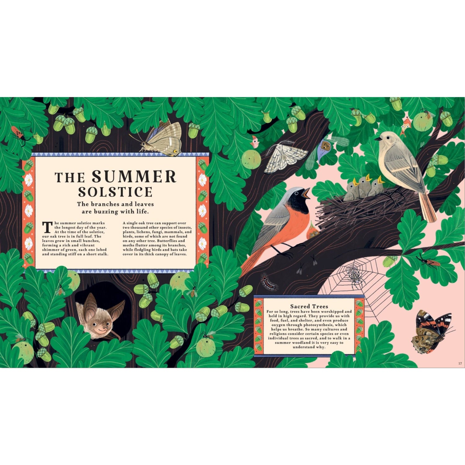 Woodlore: Discover the Seasons and Stories of the Forest | Hardcover