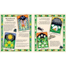 Woodlore: Discover the Seasons and Stories of the Forest | Hardcover