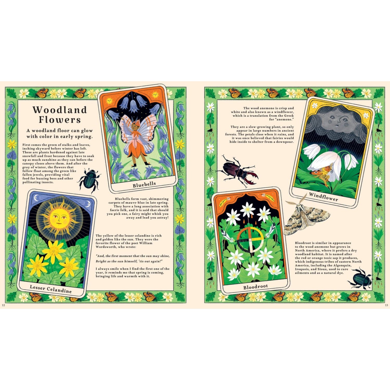 Woodlore: Discover the Seasons and Stories of the Forest | Hardcover