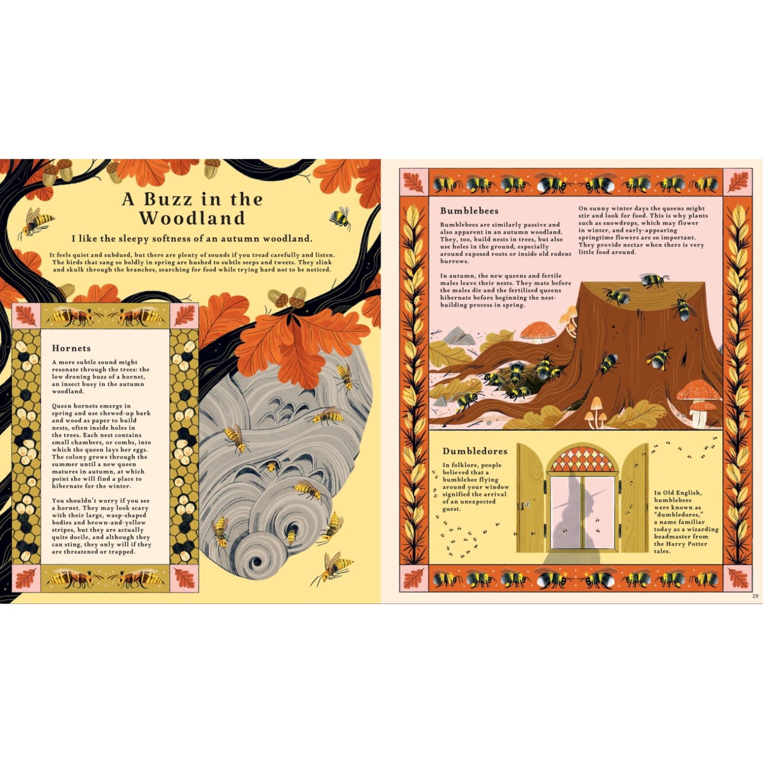 Woodlore: Discover the Seasons and Stories of the Forest | Hardcover