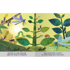 Bugs: A Peek-Through Board Book
