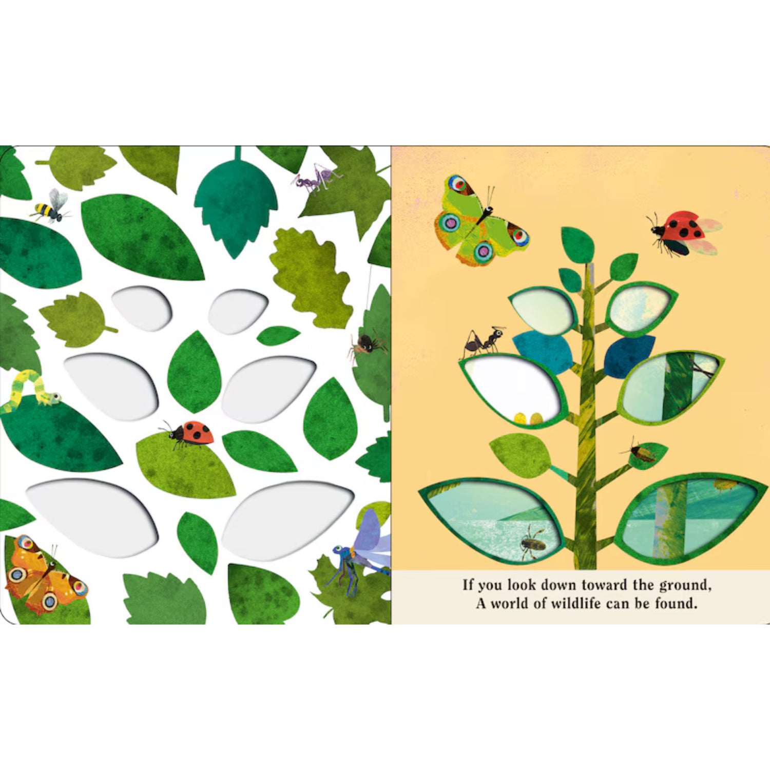 Bugs: A Peek-Through Board Book