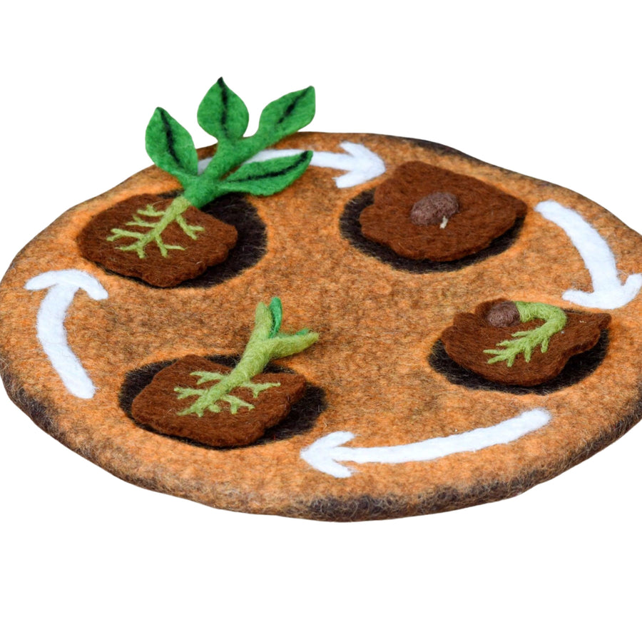 Felt Life Cycle of a Bean Plant (Playmat Sold Separately)