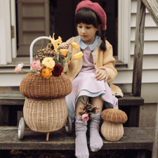 Olli Ella Rattan Rattan Porcini Mushroom Basket with Twig Pencils by Olli Ella Red & Cream Rattan Mushroom Basket | Handmade Natural Toys | The Playful Peacock