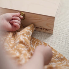 Toverlux LAMP (Silhouettes Sold Separately)