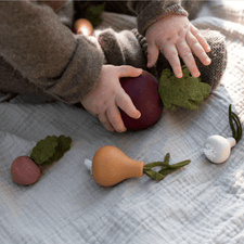 Sabo Concept Toy Food Handmade Wooden Toy Vegetable Set