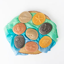 Yellow Door Sensory Play Let's Investigate  - Seashore Sensory Stones