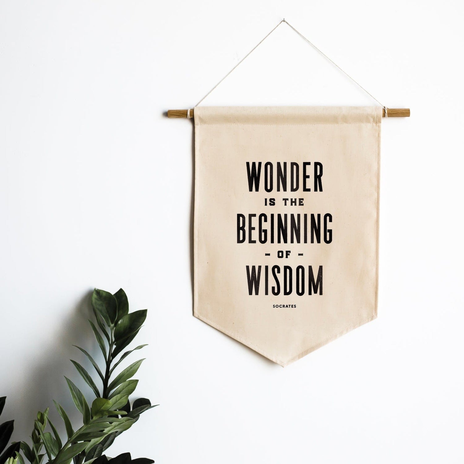Gladfolk Educational "Wonder is the Beginning of Wisdom " Canvas Banner