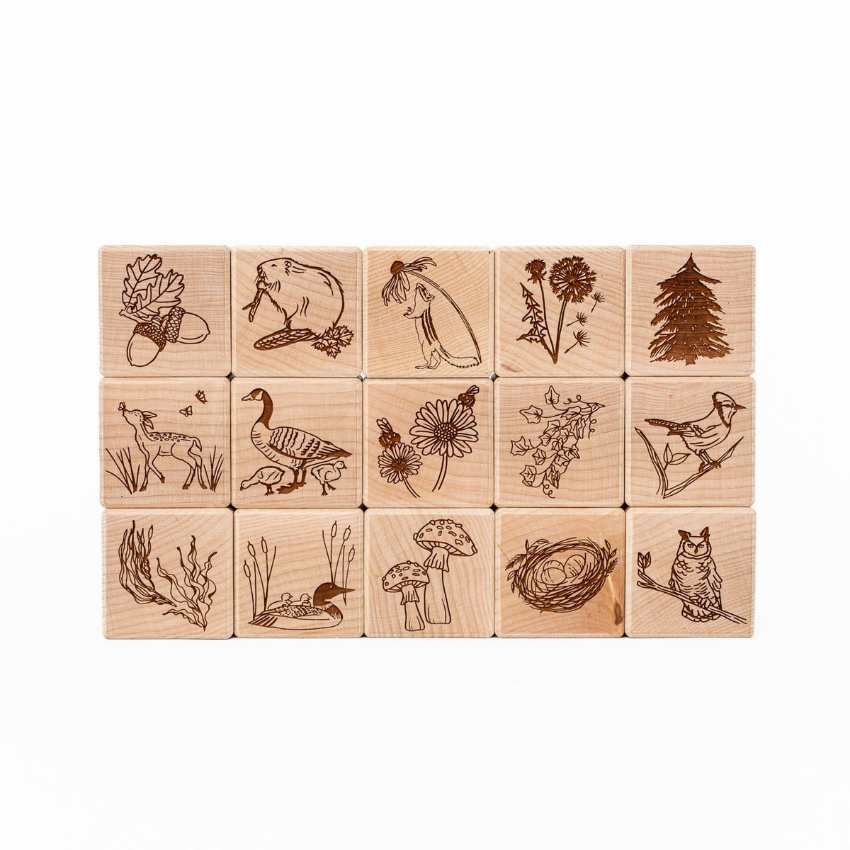 Nature Collection Alphabet Blocks (Set of 15) - Handmade in Canada ...