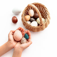 Moon Picnic Pretend Play Wooden Birds Eggs with Basket