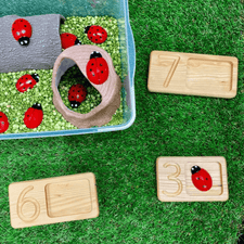 Yellow Door Sensory Play Lady Bug Counting Stones (Set of 22)