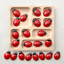 Yellow Door Sensory Play Lady Bug Counting Stones (Set of 22)