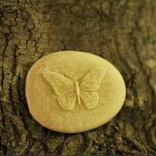 Yellow Door Sensory Play Lets Investigate - Bugs Sensory Stones