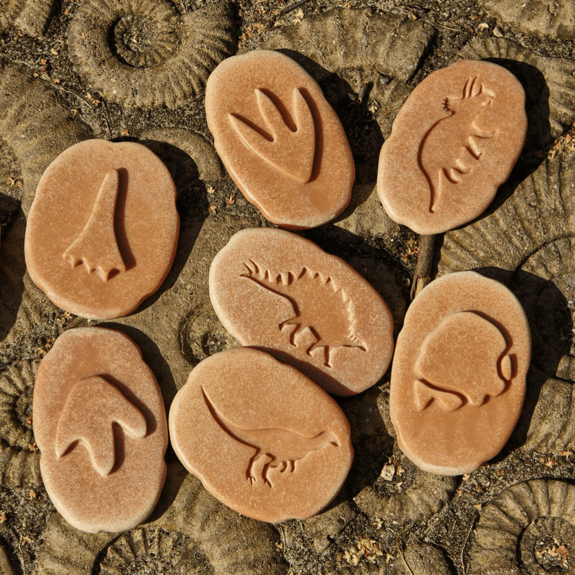 Yellow Door Sensory Play Lets Investigate  - Dinosaurs Sensory Stones (Double Sided)