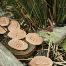 Yellow Door Sensory Play Lets Investigate  - Dinosaurs Sensory Stones (Double Sided)