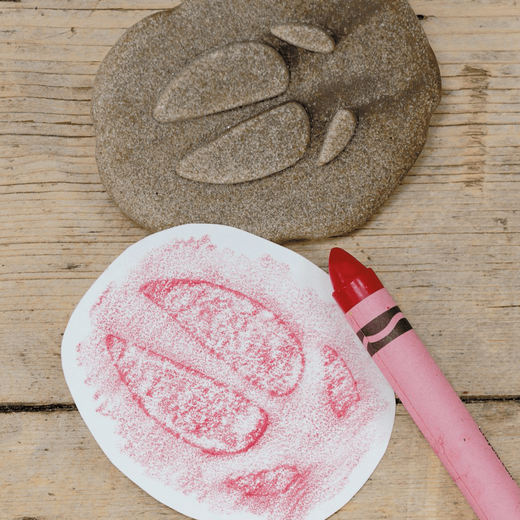 Yellow Door Sensory Play Lets Investigate  - Farmyard Footprints Sensory Stones (Double Sided)