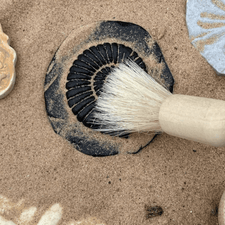 Yellow Door Sensory Play Lets Investigate - Fossils Sensory Stones