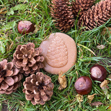 Yellow Door Sensory Play Lets Investigate! Nature Sensory Stones