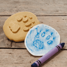 Yellow Door Sensory Play Lets Investigate  - Safari Footprints Sensory Stones (Double Sided)