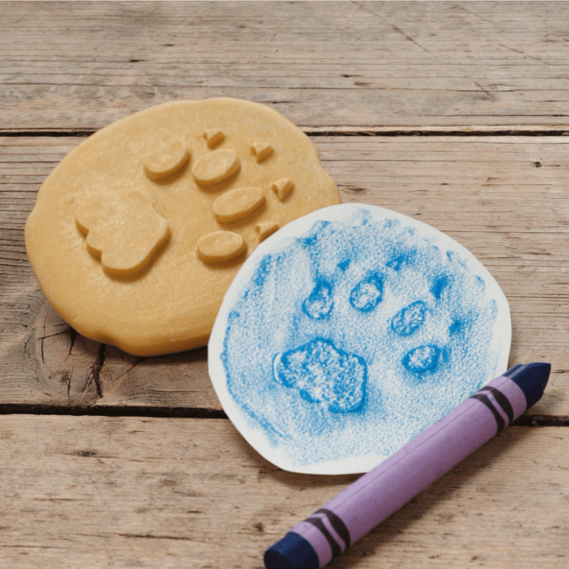 Yellow Door Sensory Play Lets Investigate  - Safari Footprints Sensory Stones (Double Sided)