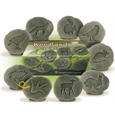 Yellow Door Sensory Play Lets Investigate  - Woodland Footprints Sensory Stones (Double Sided)