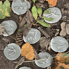 Yellow Door Sensory Play Lets Investigate  - Woodland Footprints Sensory Stones (Double Sided)